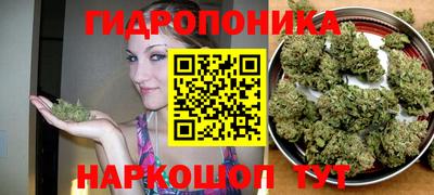 Альфа ПВП Ачхой-Мартан