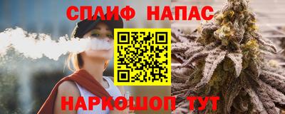 Альфа ПВП Ачхой-Мартан
