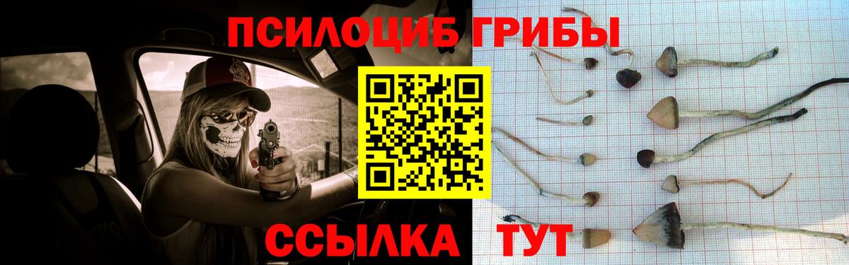 Галлюциногенные грибы GOLDEN TEACHER Благодарный