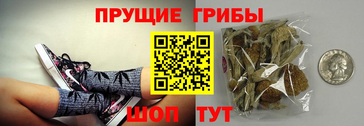 Благодарный  Галлюциногенные грибы Psilocybe  что такое наркотик  Вход с VPN 