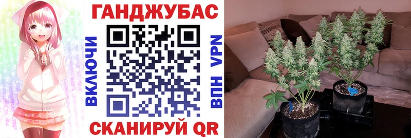 Марихуана гибрид  Благодарный 