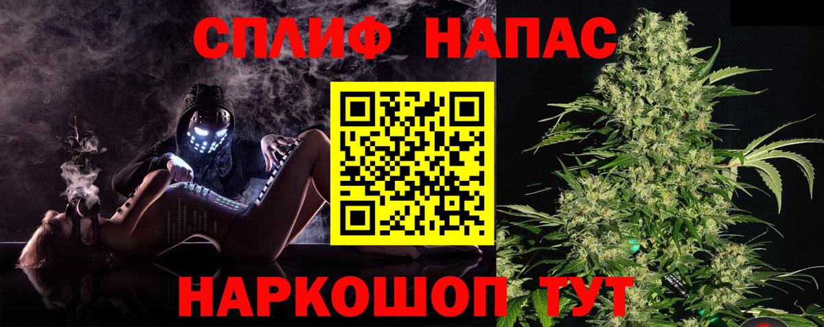 Бошки Шишки White Widow  Каннабис семена  Вход с VPN  Благодарный 